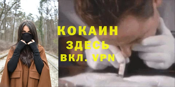 стафф Новодвинск