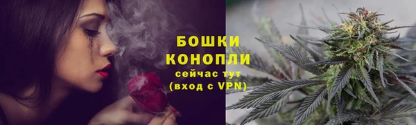 стафф Новодвинск