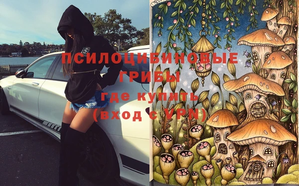 МДПВ Новокубанск
