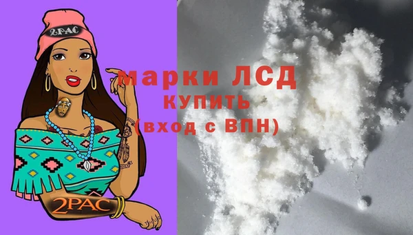 таблы Новозыбков