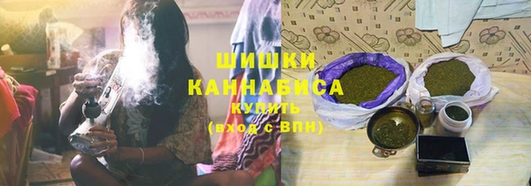 мдпв Весьегонск