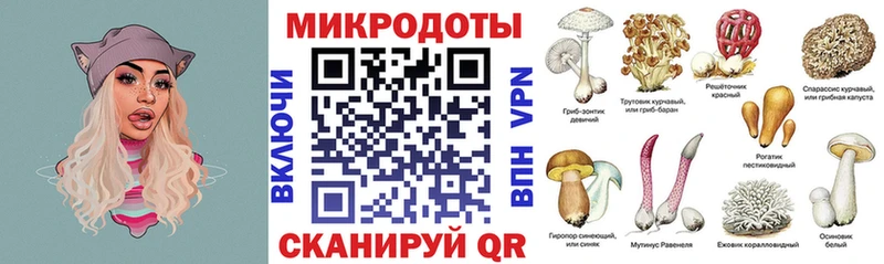 купить закладку  Приморско-Ахтарск  Псилоцибиновые грибы ЛСД 